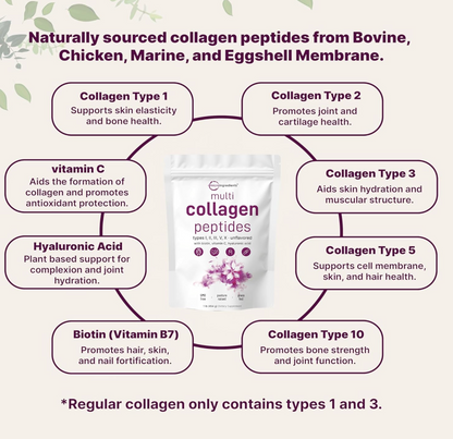 COLLAGEN PEPTIDES MULTI - MICRO INGREDIENTS
