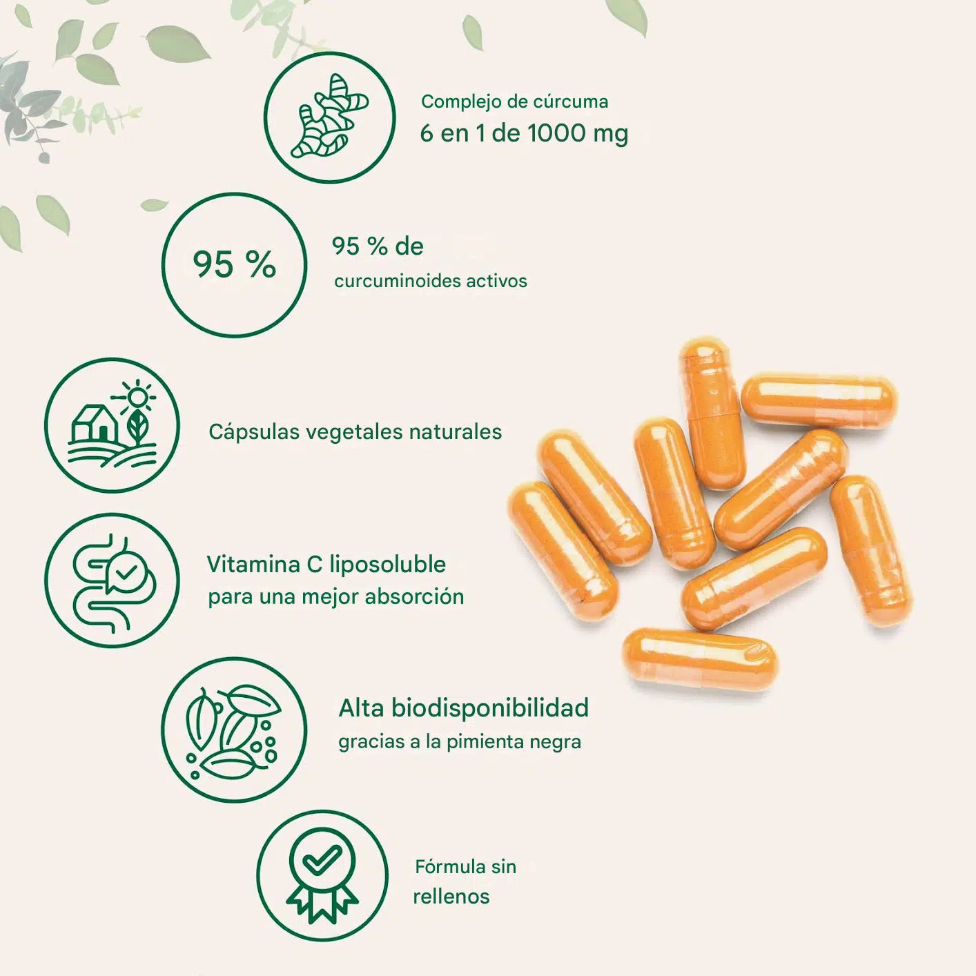 CURCUMINA 1000mg 95% 60 Cápsulas Antiinflamatorio