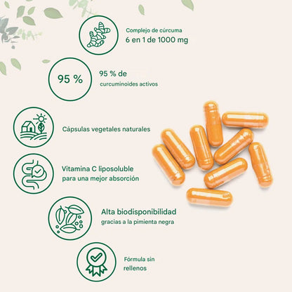 CURCUMINA 1000mg 95% 60 Cápsulas Antiinflamatorio